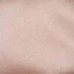 Miu Miu Arcadie Leather Bag