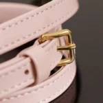 Miu Miu Arcadie Leather Bag