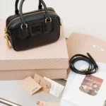 Miu Miu Arcadie Leather Bag